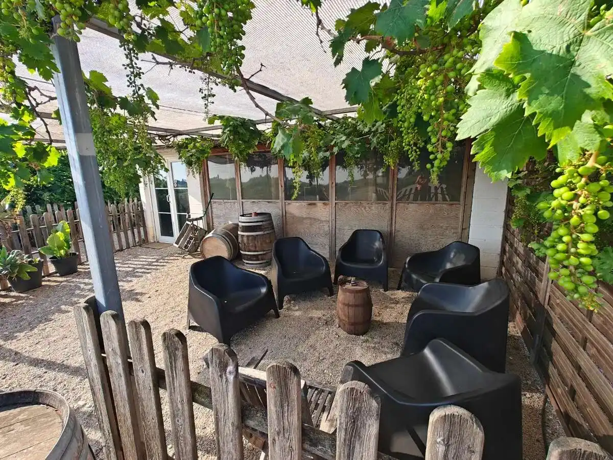 Terrace of Houses for sale in Algemesí  with Private garden, Terrace and Swimming Pool