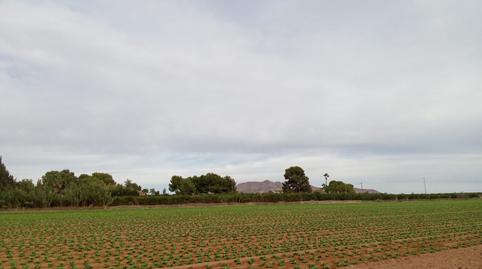 Foto 3 de Finca rústica en venda a Mar Menor Golf, Torre-Pacheco