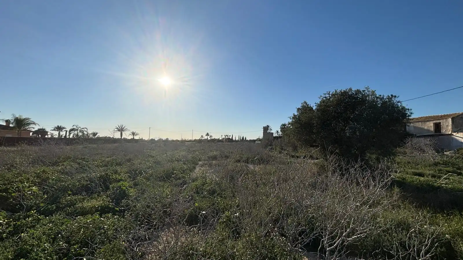 Terreno en venta en Elche / Elx