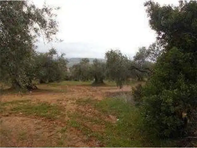 Terreni e lotti in vendita a Bailén