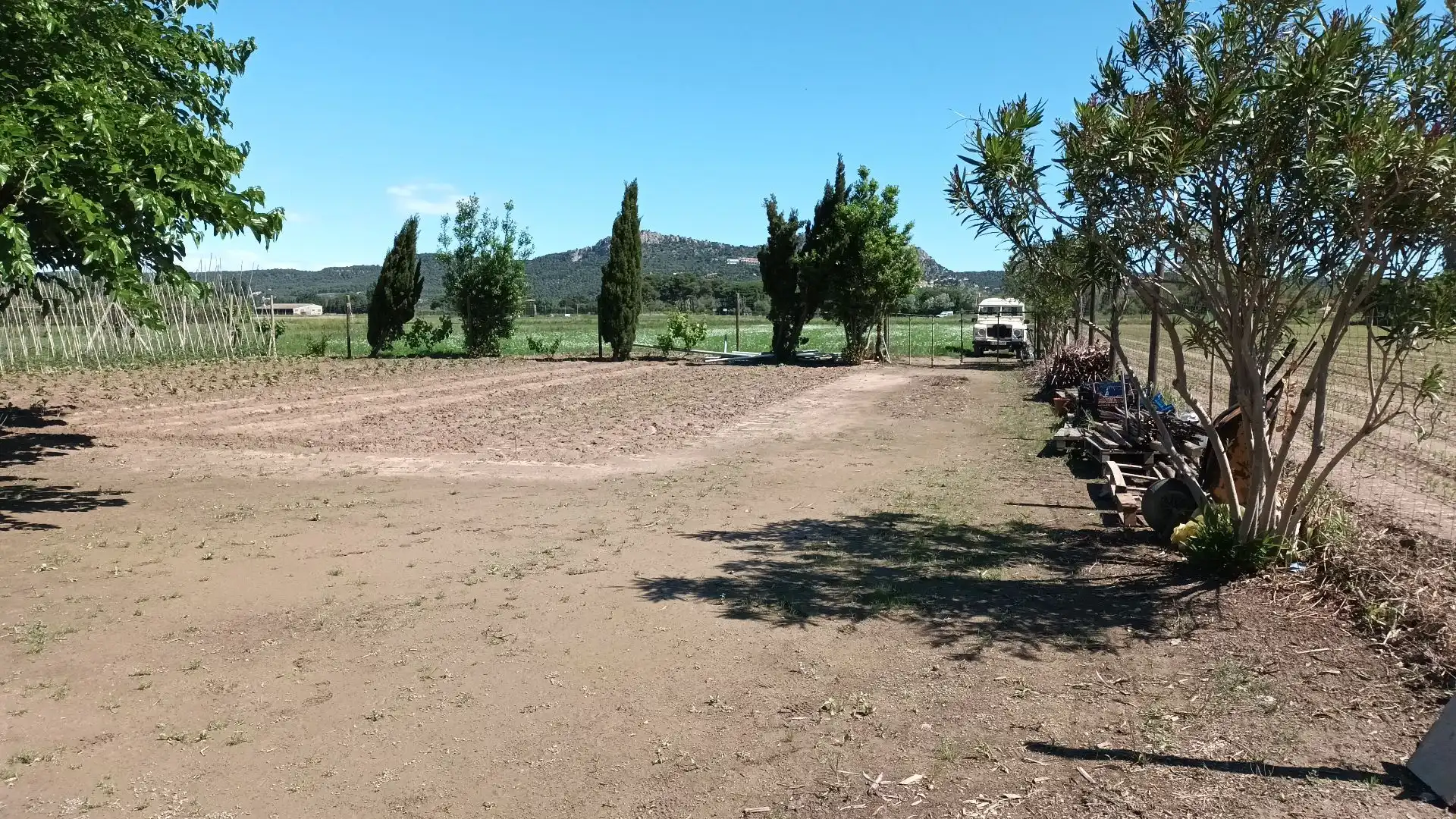 Terreny rústic en venda a Els Griells, imagen 4