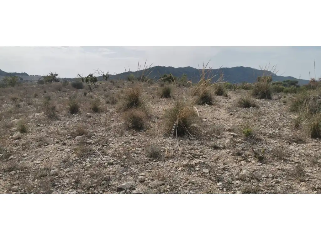 Terreno residenziale in vendita a Salinas, imagen 9