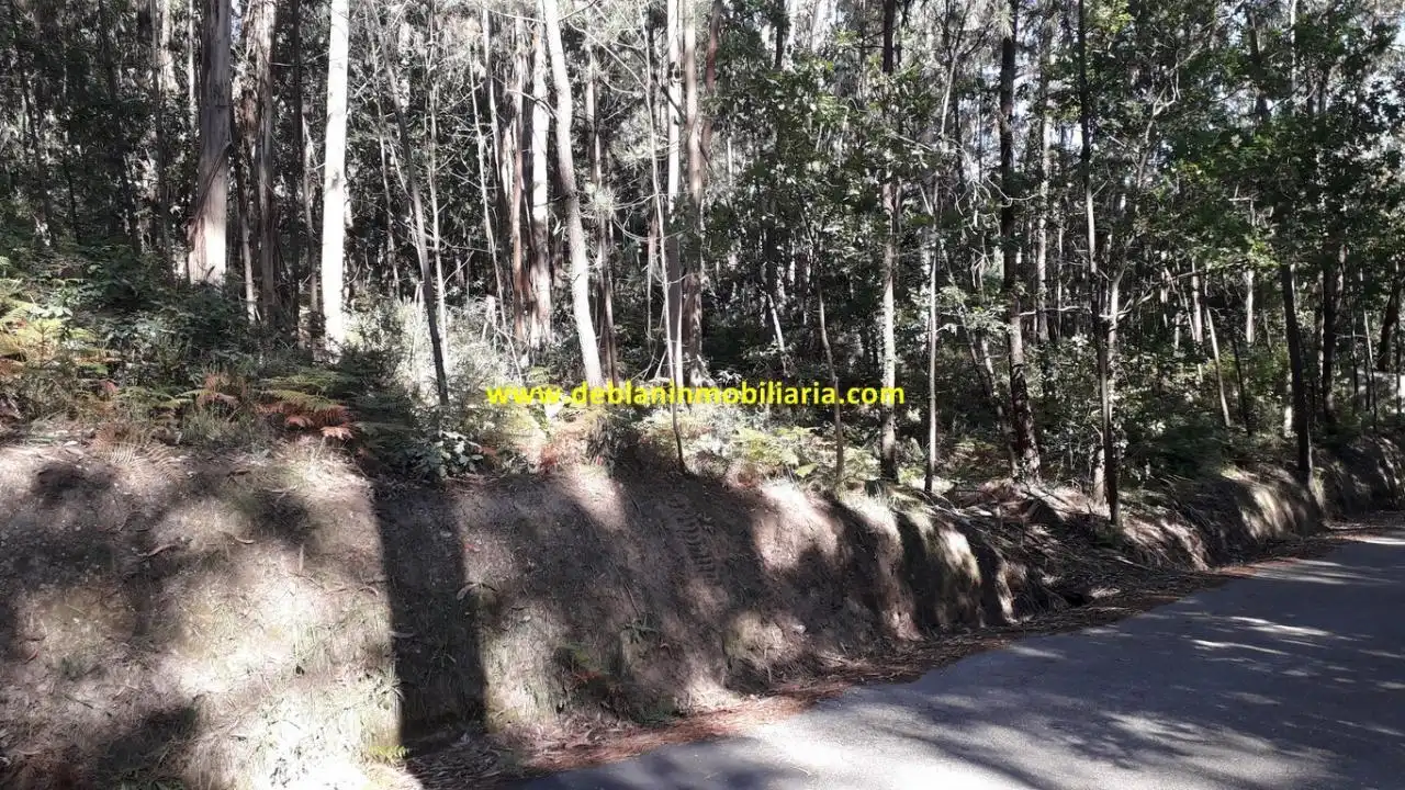 Vista exterior de Terreno en venta en Salceda de Caselas