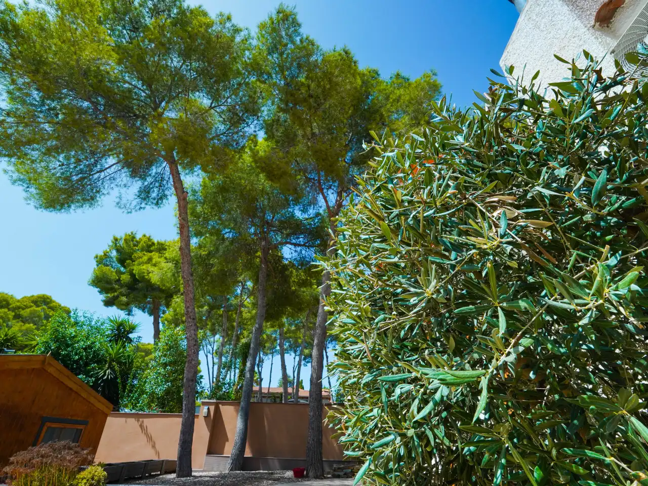Casa con piscina en venta en El Pinar de Campoverde, imagen 56