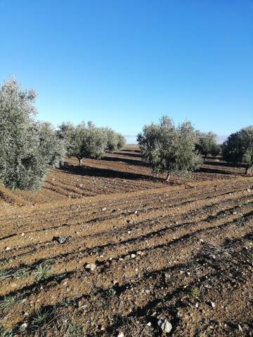 Terreno en Venta en Mora