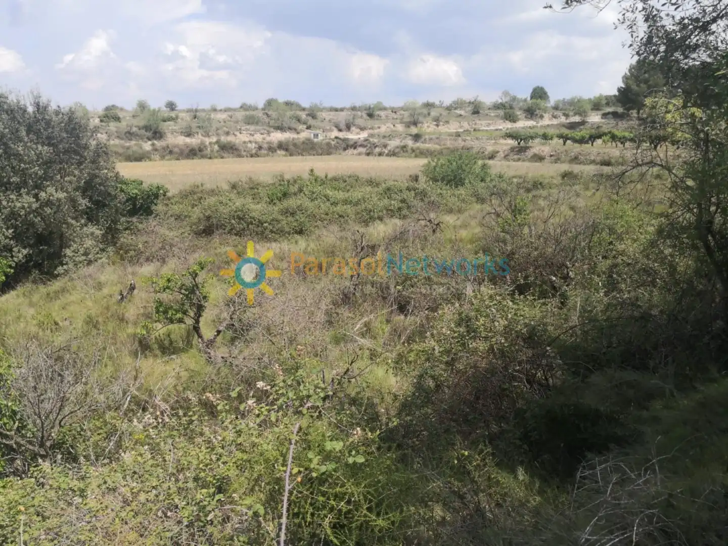 Terreny rústic en venda a Castelló de Rugat