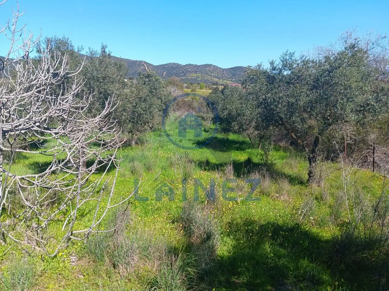 Lands and plots for sale in Belmez, imagen 3
