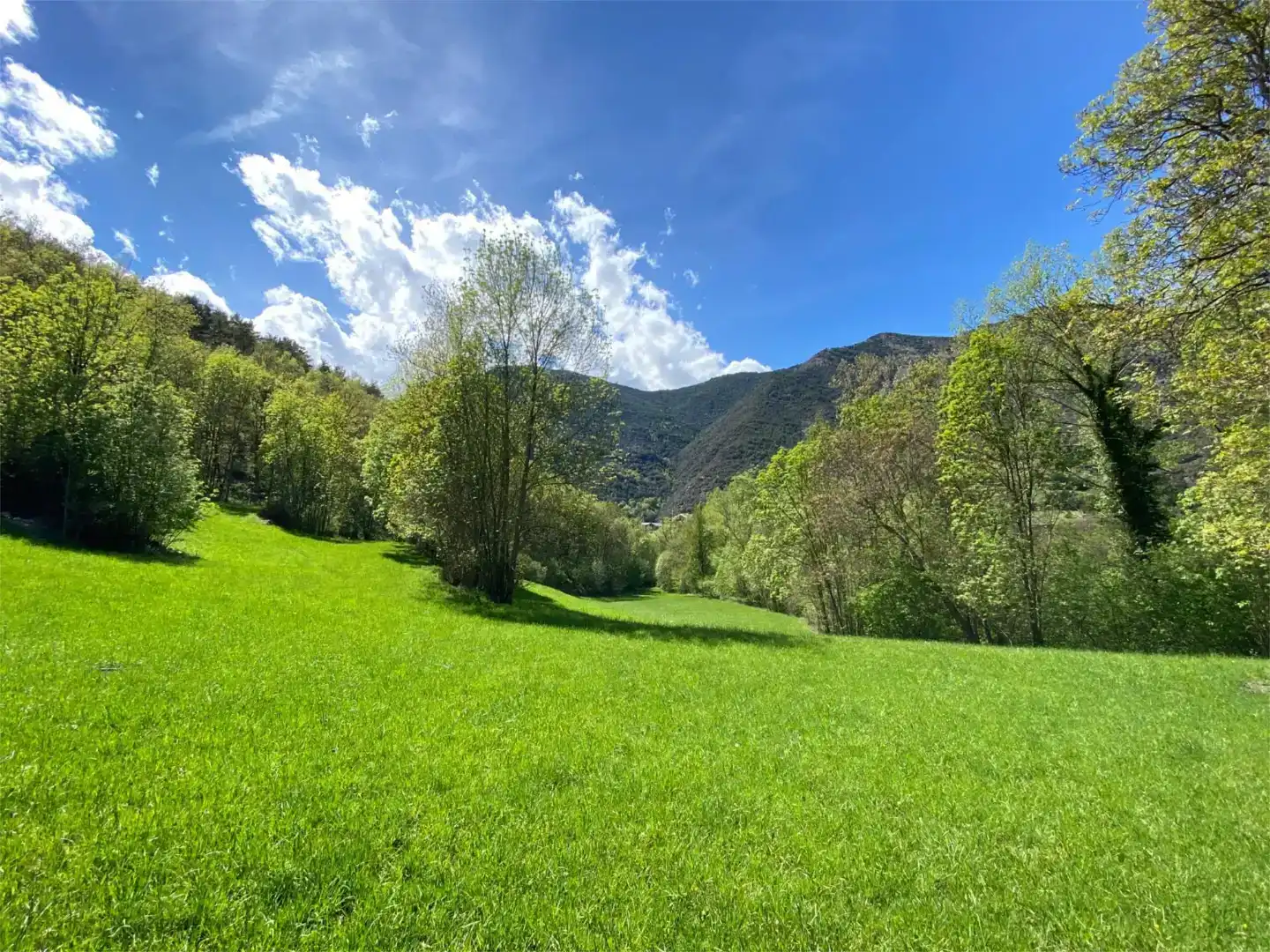 Terreno en venta en Tírvia
