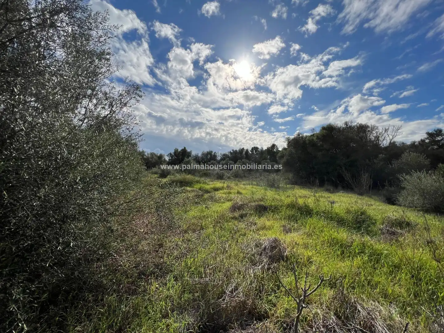 Residencial en venta en Algaida