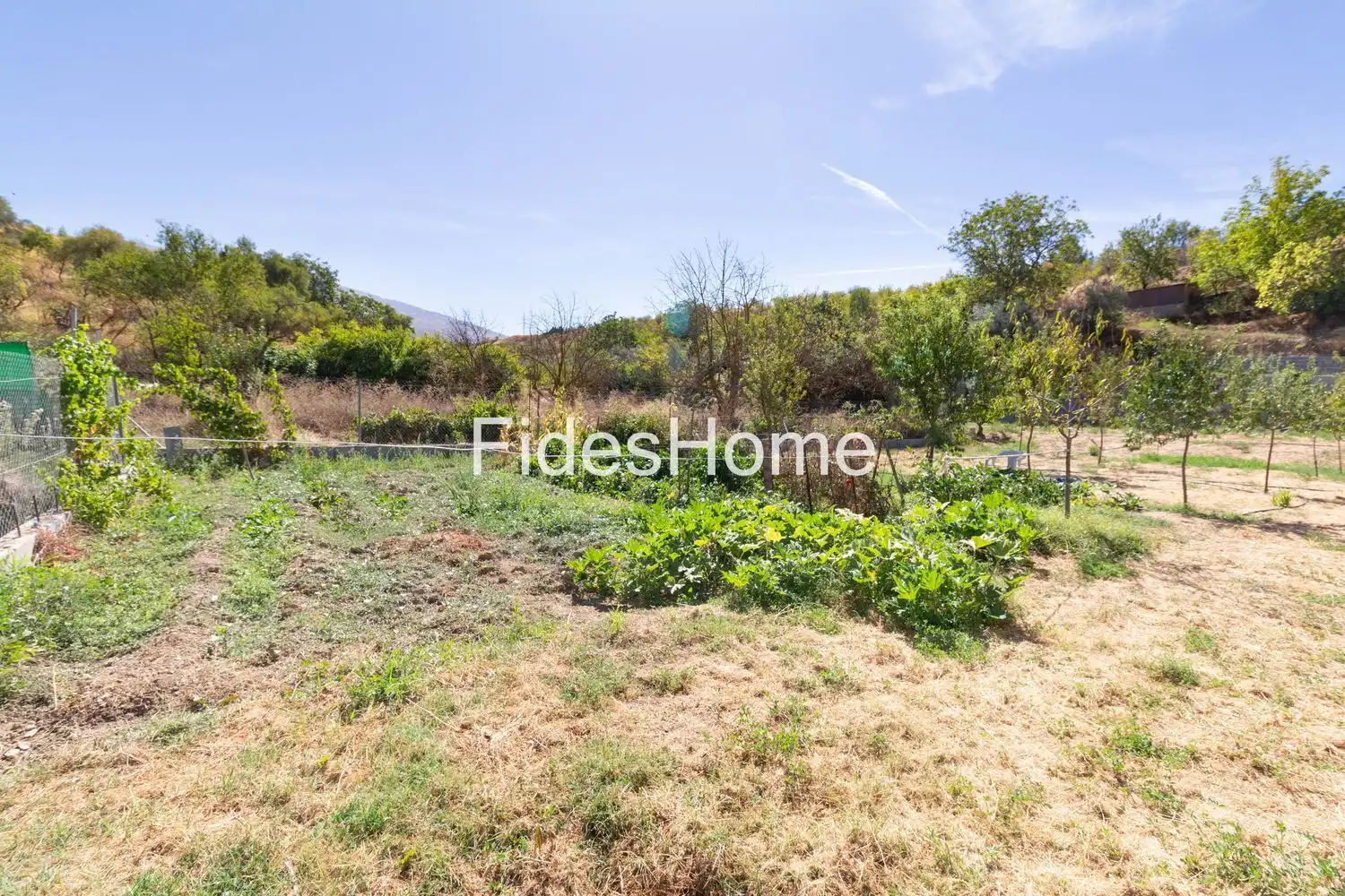 Rural land for sale in XCHH+JQ6 Dúrcal 0, imagen 11