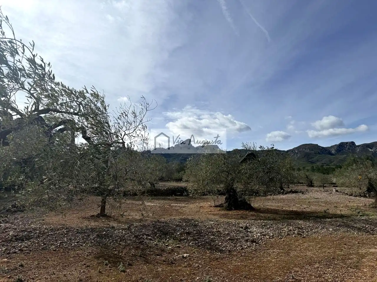 Terreno rustico in vendita a Burgà, imagen 10