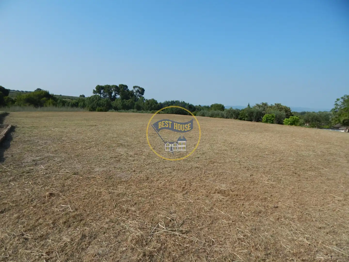 Terreno rustico in vendita a Albaida, imagen 3
