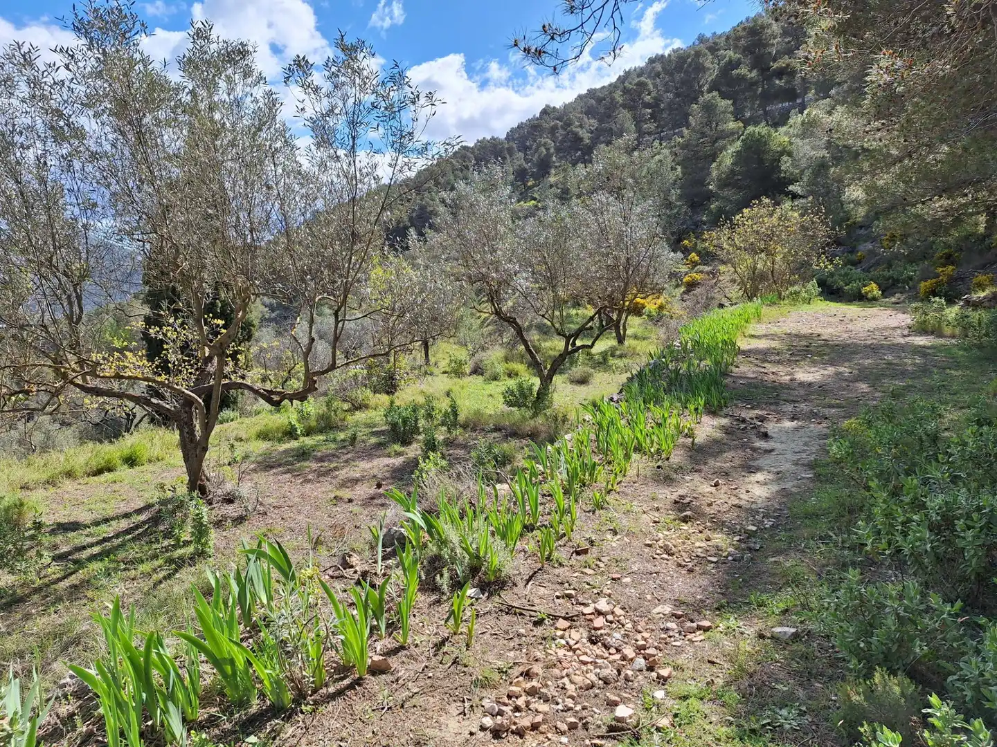 Finca rústica en venta en Alcoy / Alcoi con Trastero y Amueblado