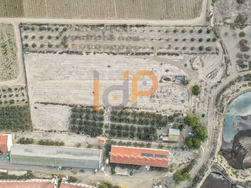 Terrenys i solars en venda a Huércal-Overa, imagen 13