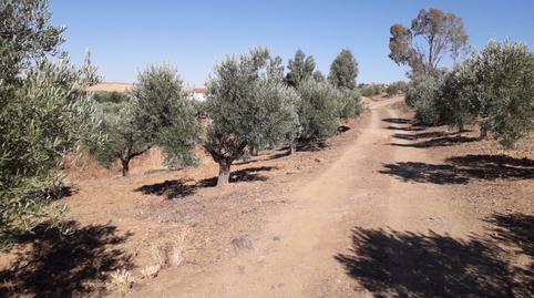 Photo 2 of House or chalet for sale in La Coronada, Badajoz