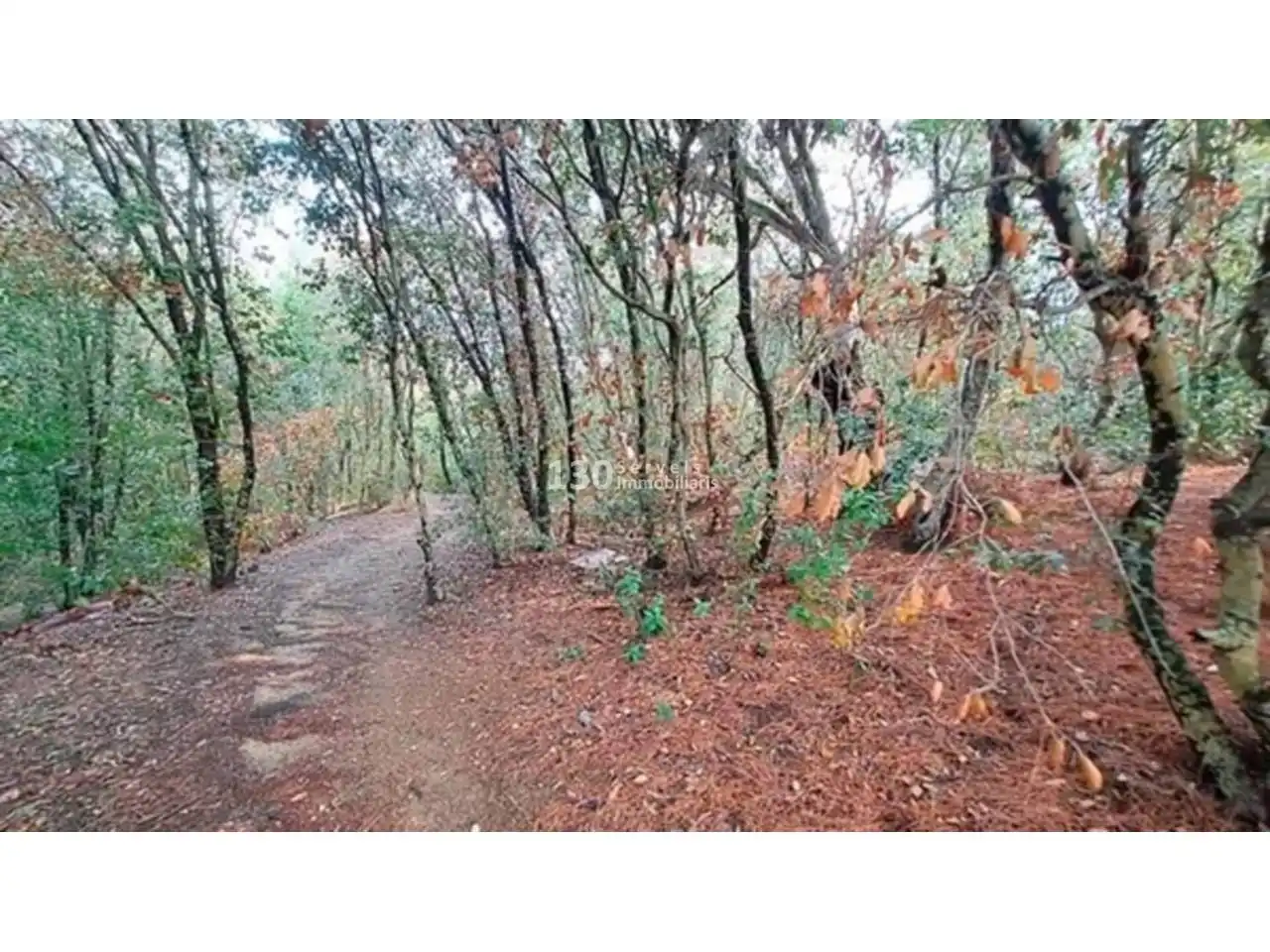 Terreno rustico in vendita a Camino Arenys de Munt a Canet, imagen 7