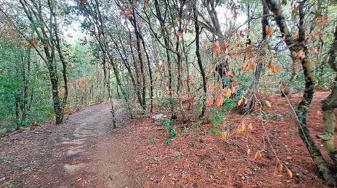 Foto 5 de Terreno en venta en Camino Arenys de Munt a Canet, Urbanitzacions, Arenys de Mar