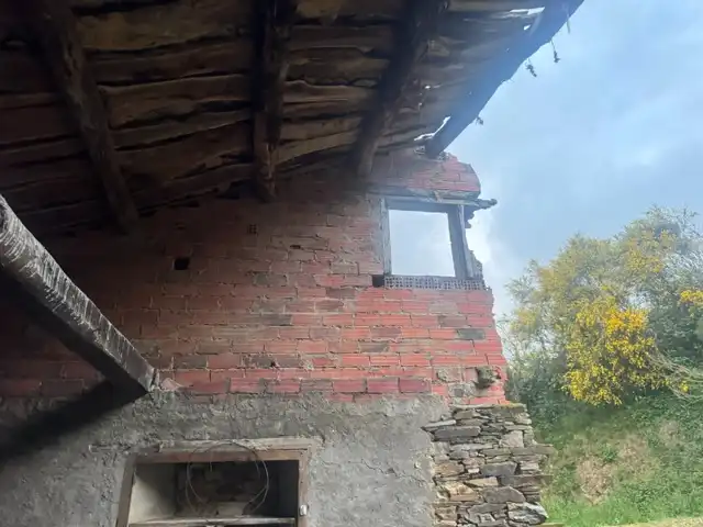 Vista exterior de Finca rústica en venta en Vegadeo
