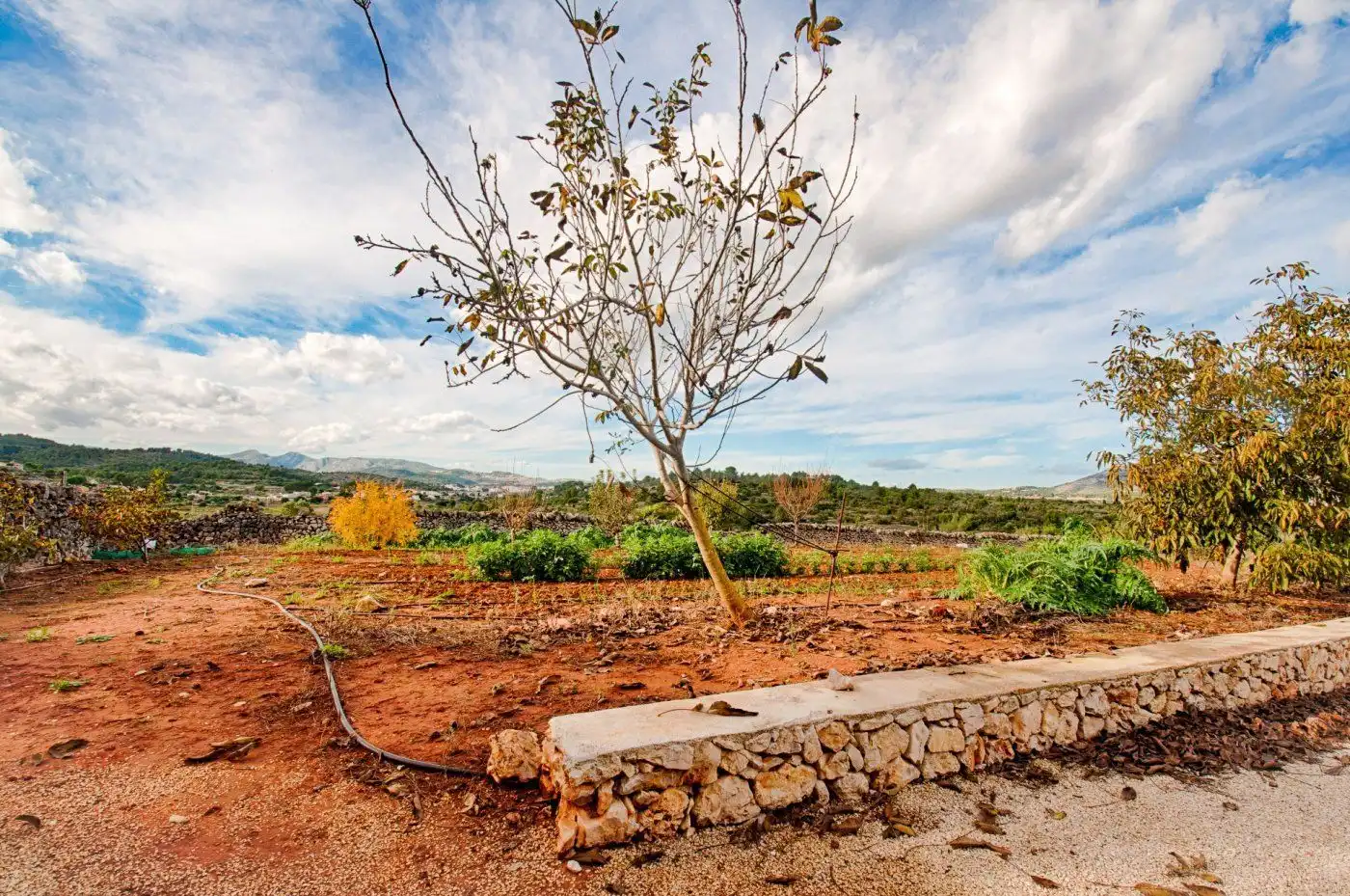Casa rustica con piscina in vendita a Gata de Gorgos, imagen 20