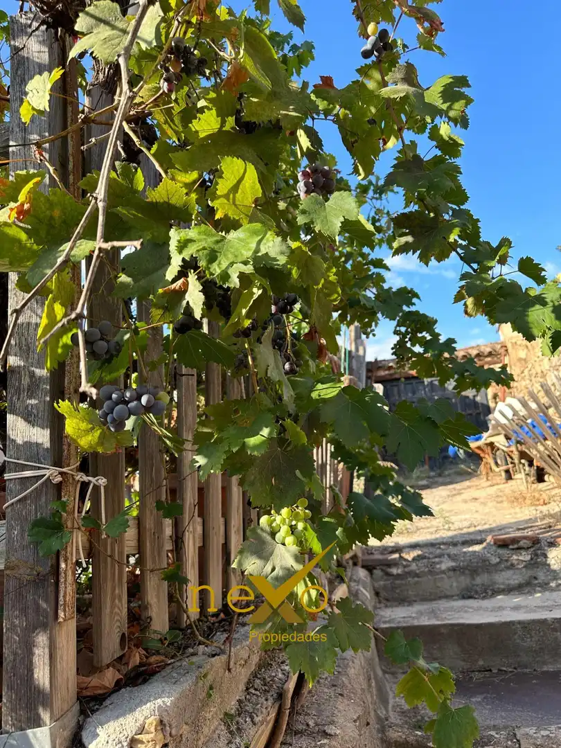 Finca rústica en venda a San Nicolás del Puerto