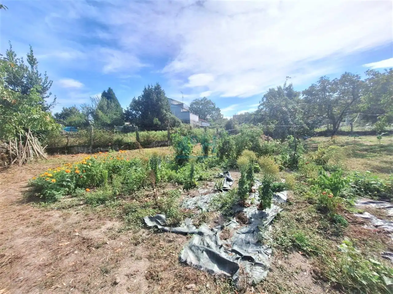 Casa amb terrassa en venda a Amoeiro, imagen 18