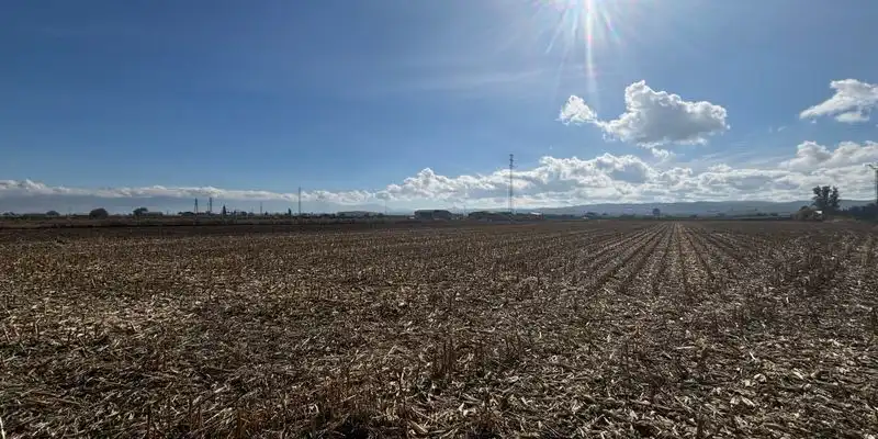 Terreny rústic en venda a Polígono Polígono, imagen 5
