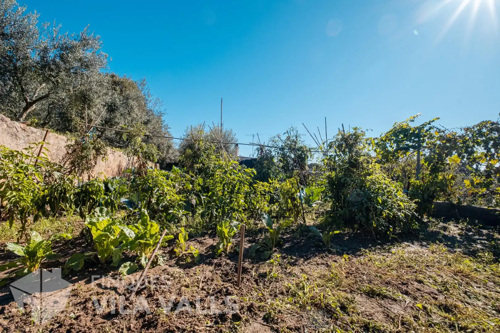 Chalet con jardín en venta en Sant Feliu de Codines, imagen 35