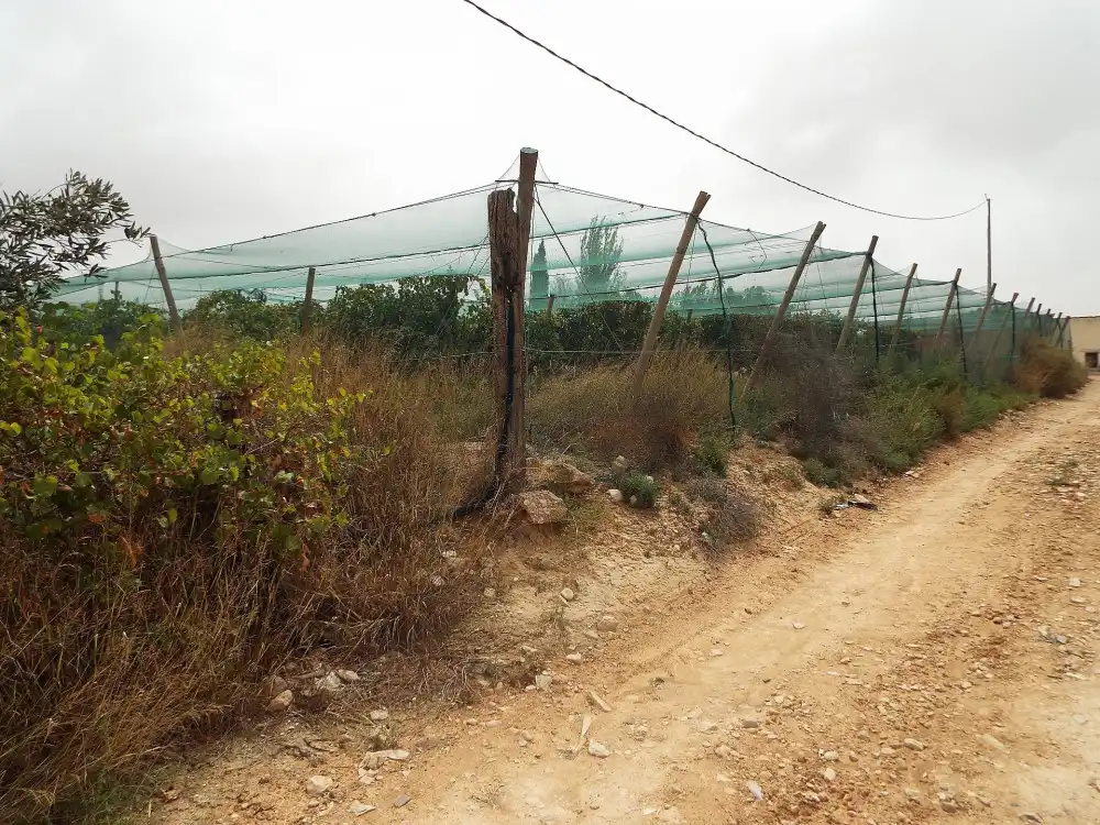 Terreno residencial en venta en Monforte del Cid, imagen 9