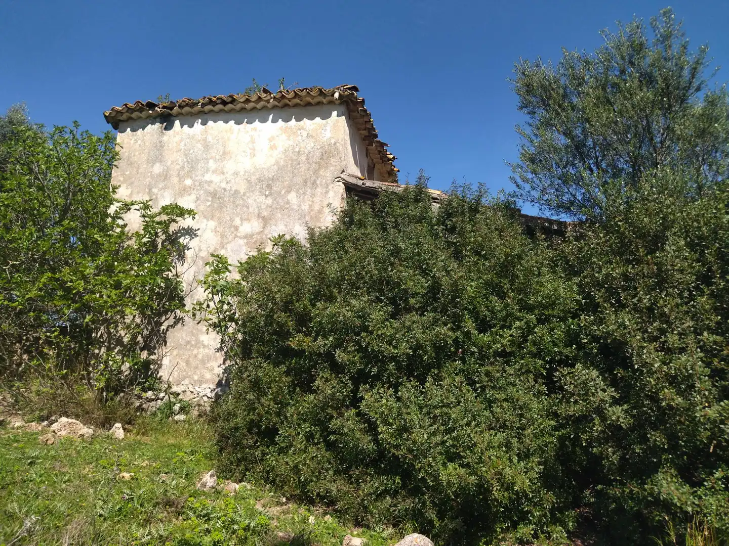 Terreno rustico in vendita a Ubrique, imagen 9