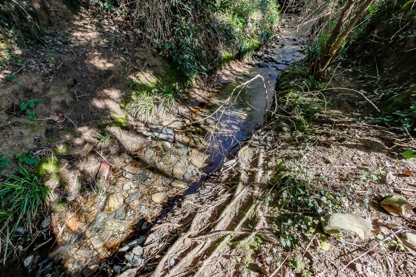 Vista exterior de Finca rústica en venta en Sant Antoni de Vilamajor