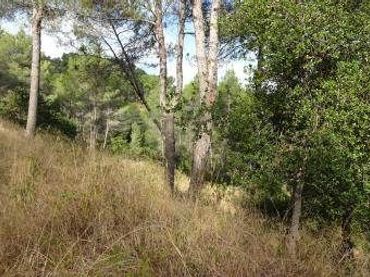 Terreni e lotti in vendita a Cases Pairals