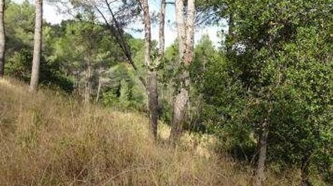 Oportunidad para Inversores y Particulares