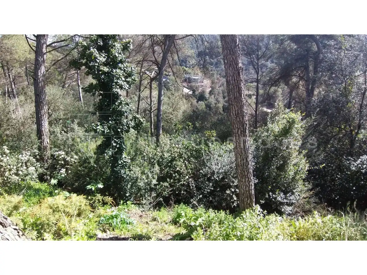 Terreno residencial en venta en Paseo Estació de Torreblanca, imagen 3