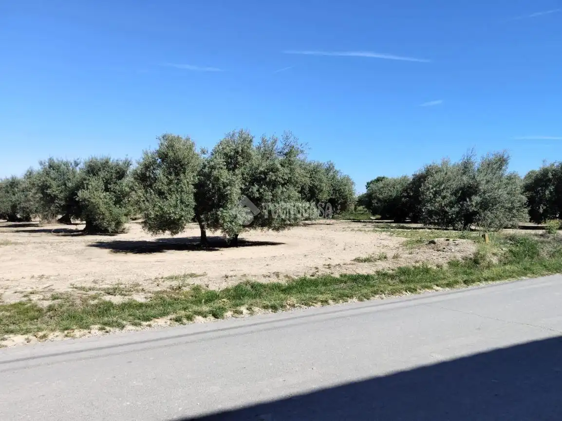 Rural land for sale in Mengíbar, imagen 16