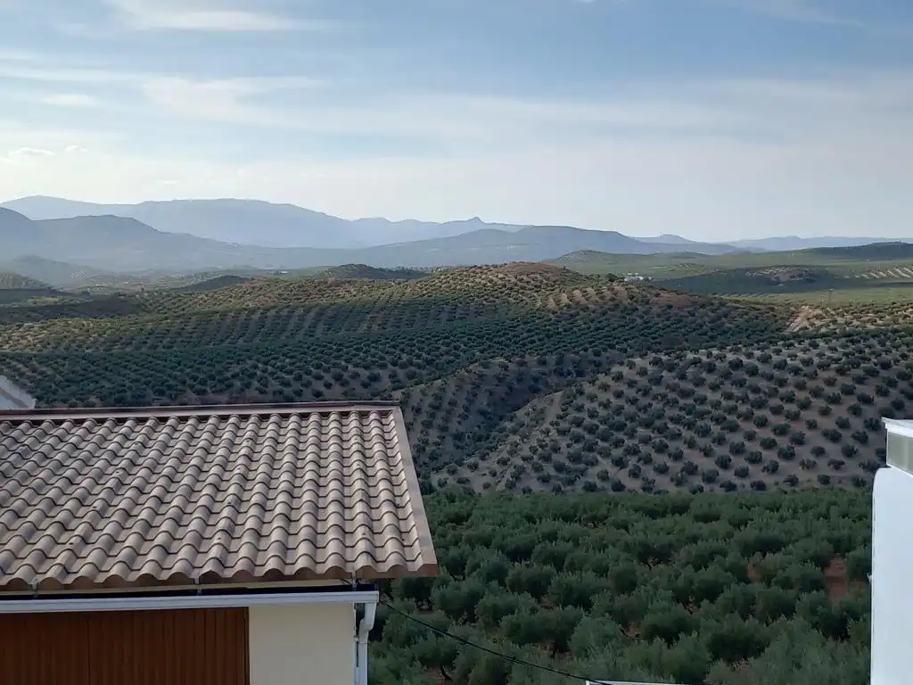 Vista exterior de Finca rústica en venta en Alcalá la Real con Amueblado