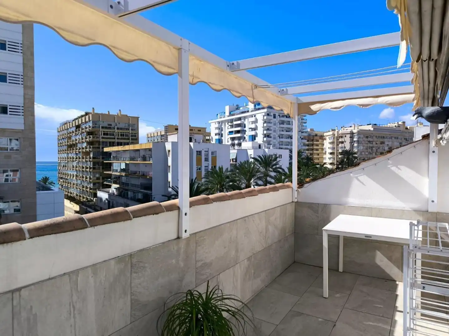Attic for sale in Casco Antiguo