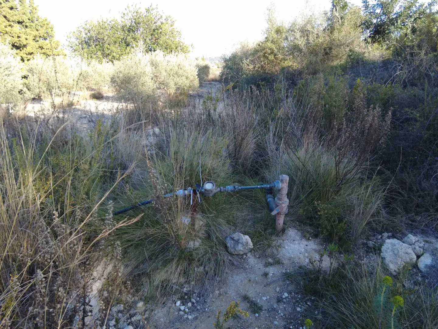 Maison rustique à vendre à Partides comunes - Adsubia, imagen 33
