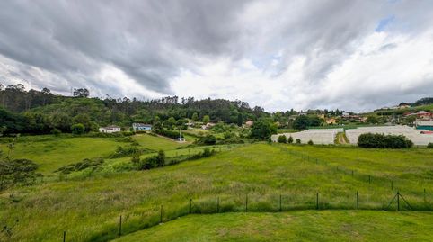 FINCA LLANA Y EDIFICABLE A 20 MINUTOS DE OVIEDO. PASA EL CAMINO DE SANTIAGO!, immagine 4