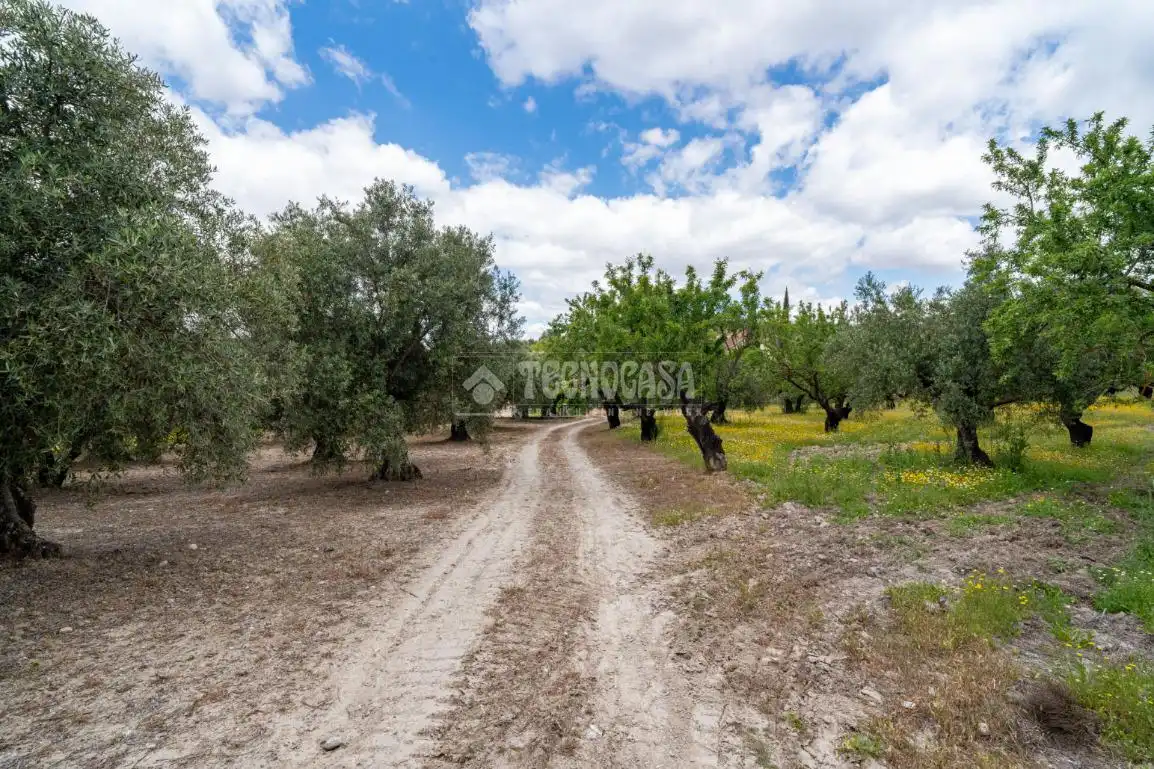 Terreni e lotti in vendita a Albaicín, imagen 3