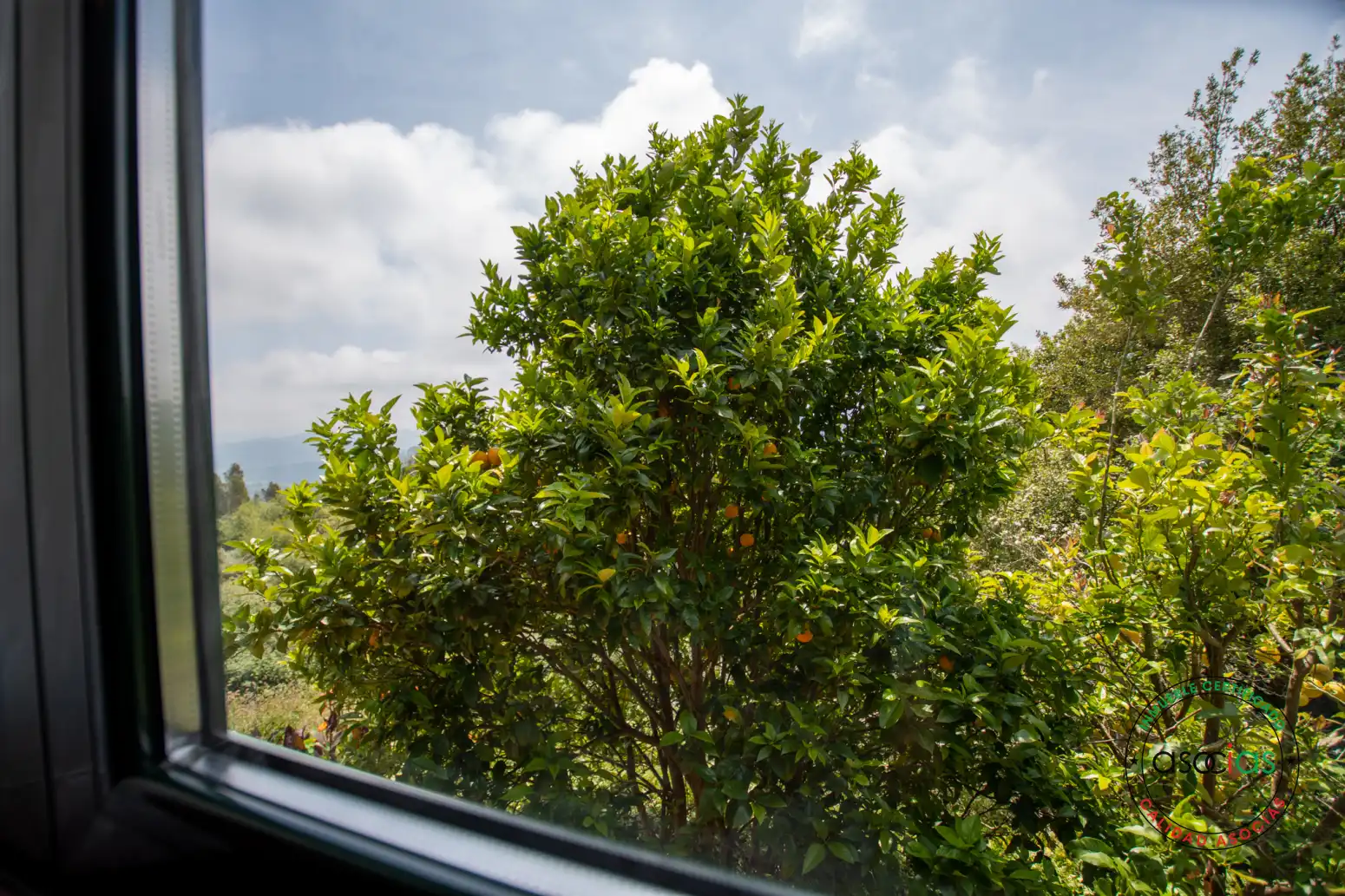 Vista exterior de Casa o chalet en venta en Colunga con Calefacción, Jardín privado y Terraza
