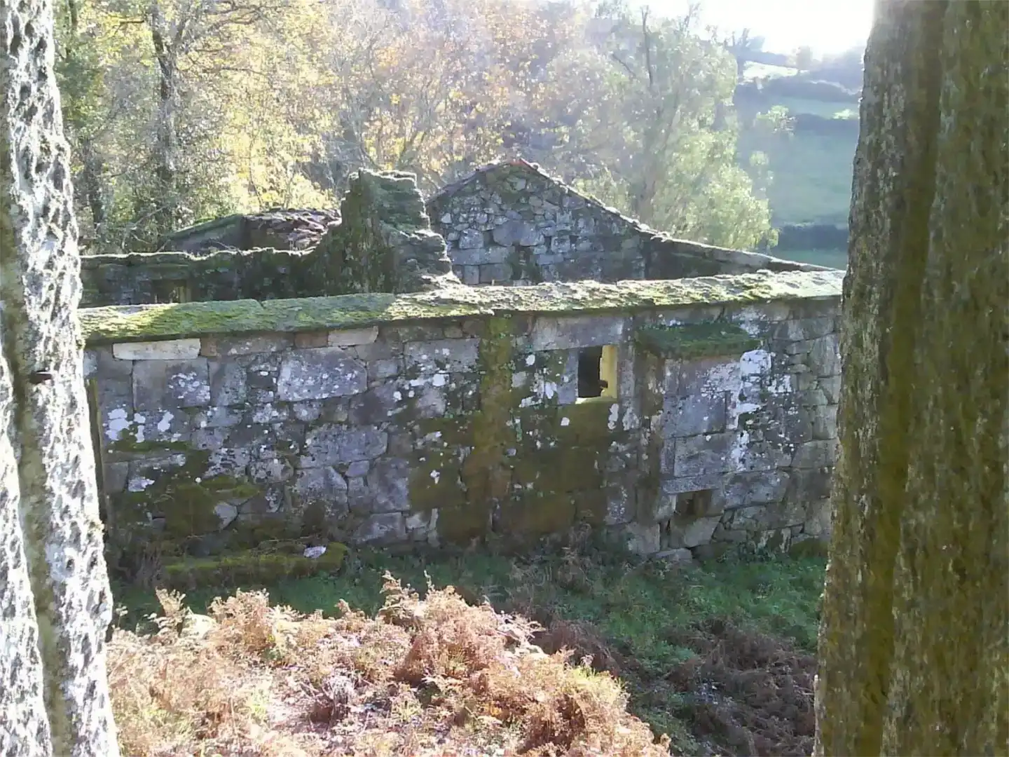 Vista exterior de Finca rústica en venda en Ponteareas amb Jardí privat, Traster i Piscina