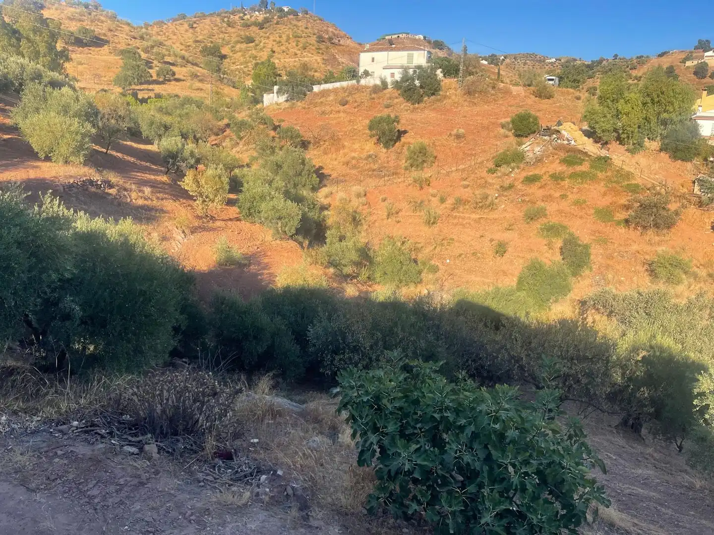 Casa rustica con giardino in vendita a Almogía, imagen 6