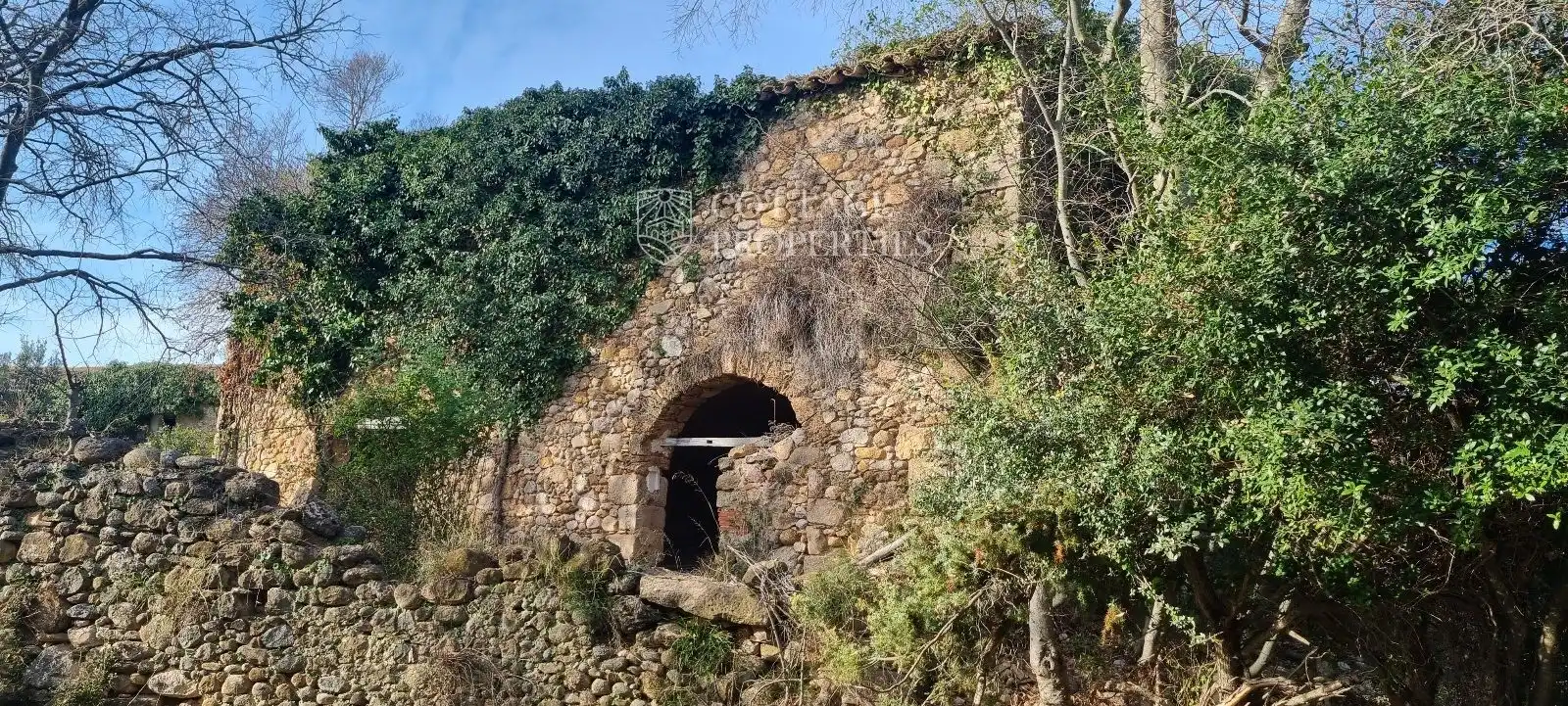 Vista exterior de Finca rústica en venda en Cabanelles