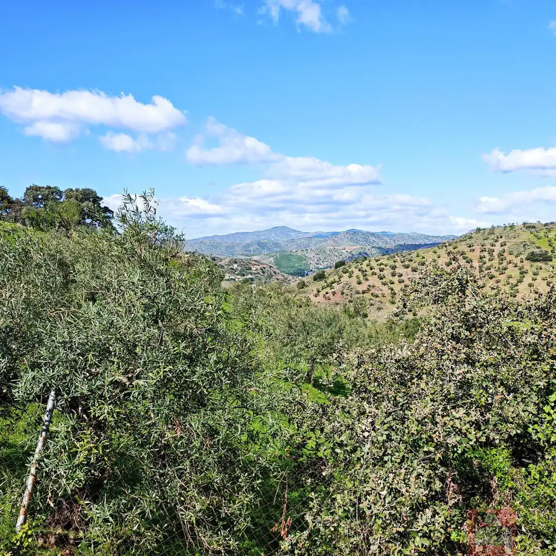 Exterior view of Apartments for sale in Málaga  with Air Conditioner, Heating and Terrace