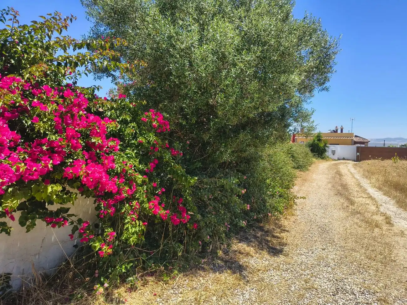 Chalet en venta en Conil, imagen 20