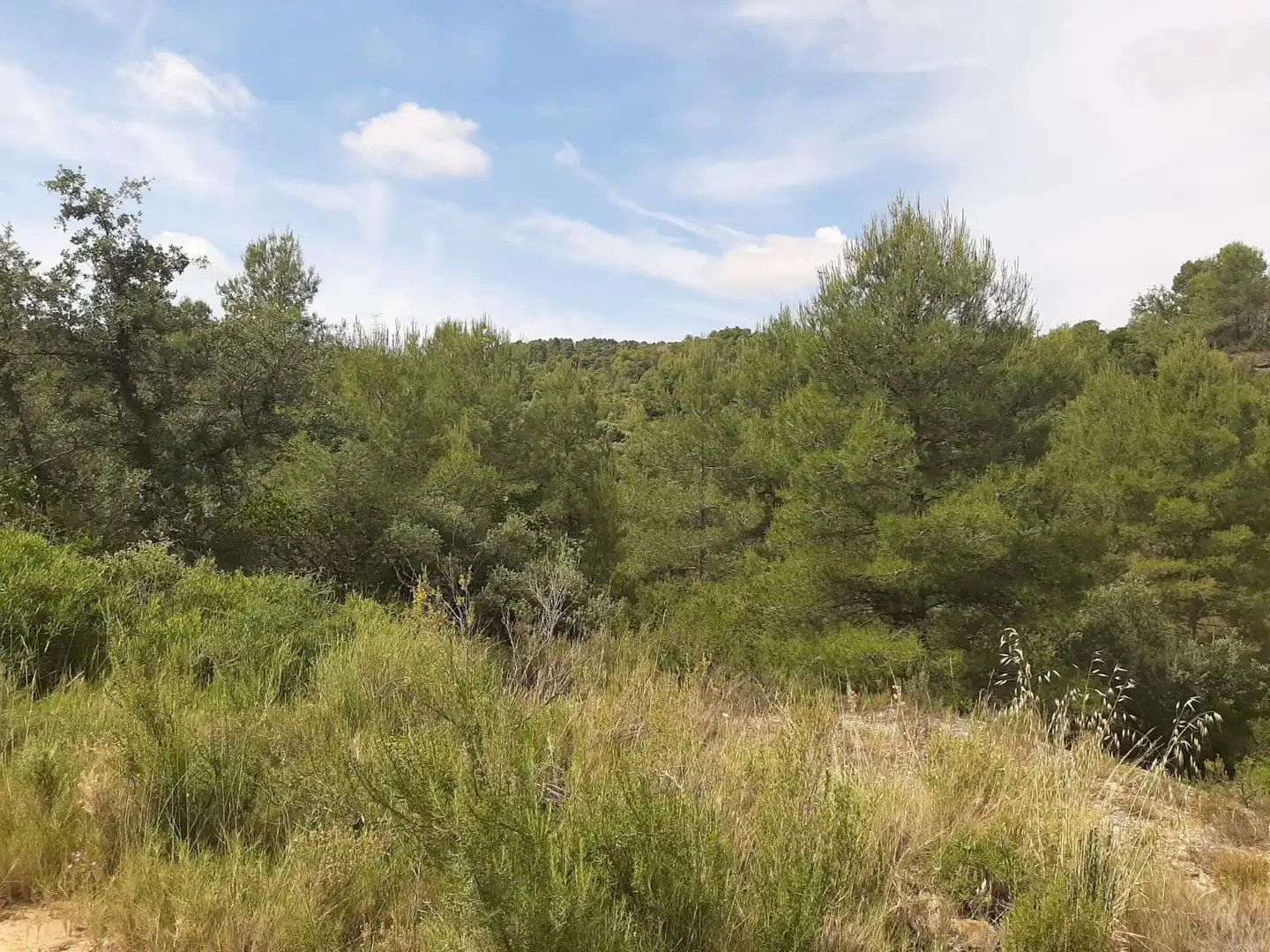 Casa adosada en venda en Cervià de Les Garrigues amb Jardí privat, Terrassa i Balcó
