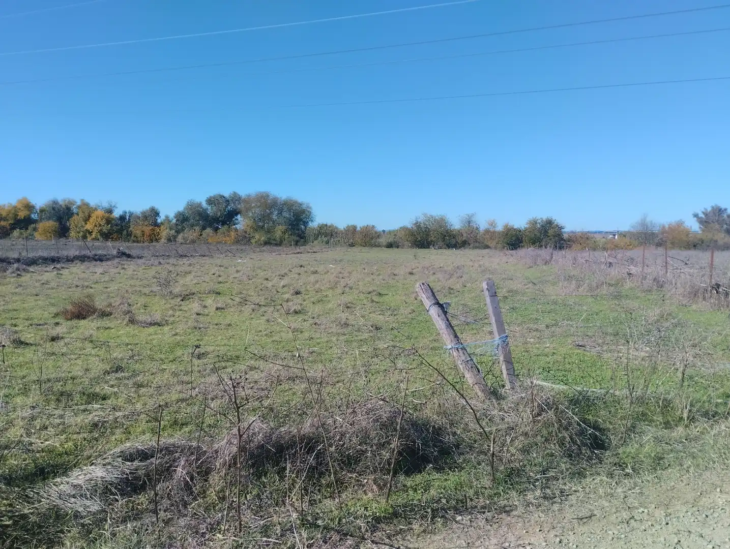 Terreny rústic en venda a La Algaba, imagen 3