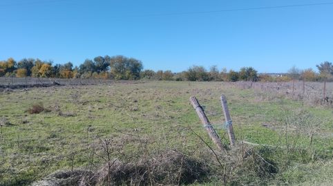 🌿 Parcela Rústica en Venta – El Sainar (Camino de La Encrucijá), La Algaba – Sevilla 🌿, Bild 3