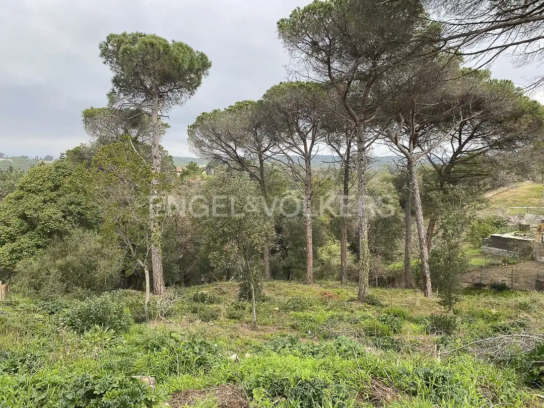Terreno residencial en venta en Mas Mora - Sant Daniel, imagen 11