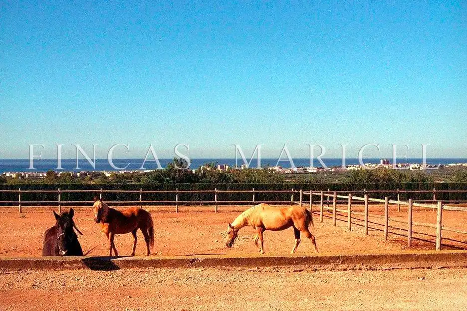 Vista exterior de Finca rústica en venta en El Vendrell con Calefacción, Jardín privado y Terraza